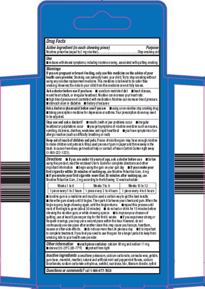 012 45 Nicotine Gum Image 2